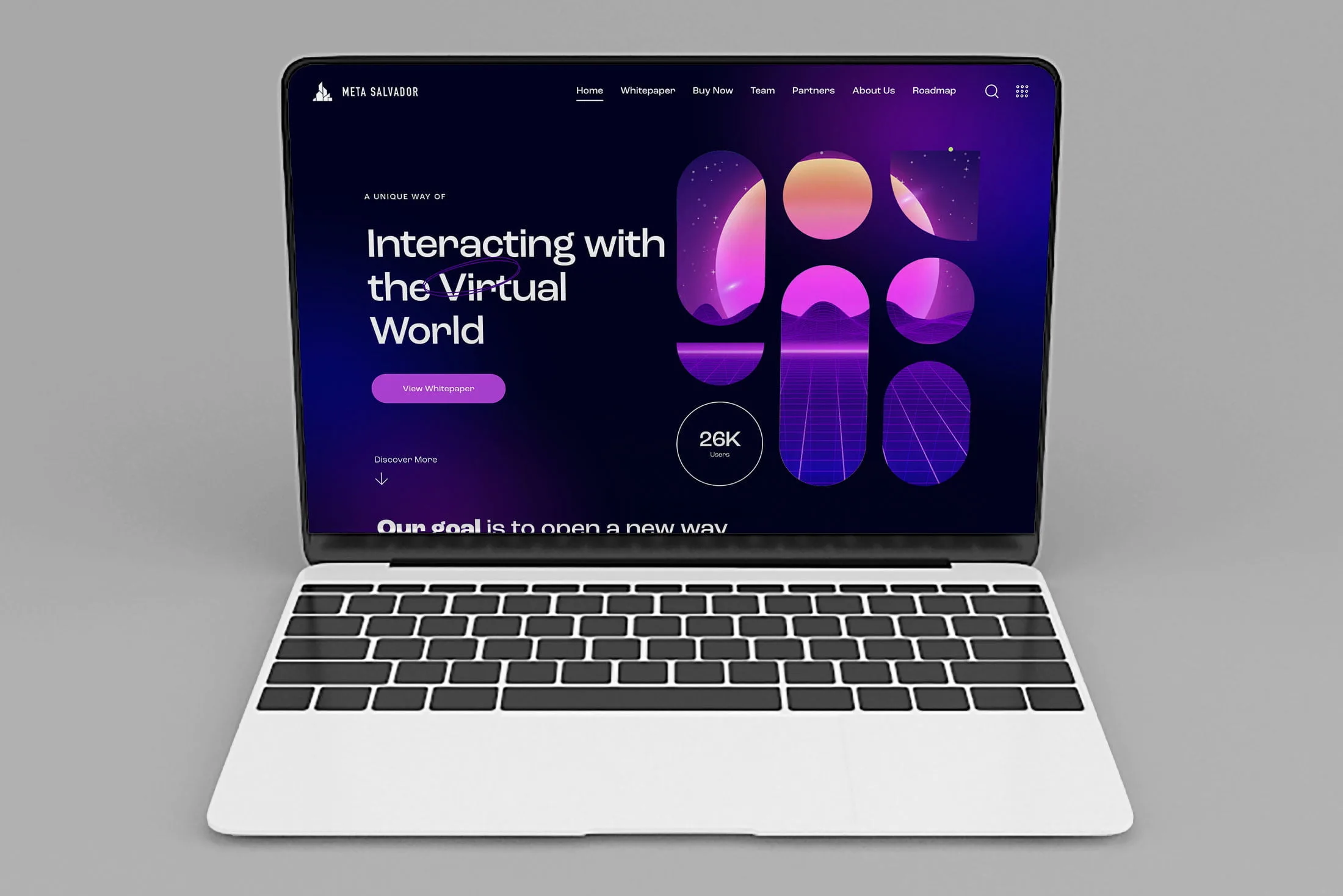 Brendiranje i web dizajn Meta Salvador