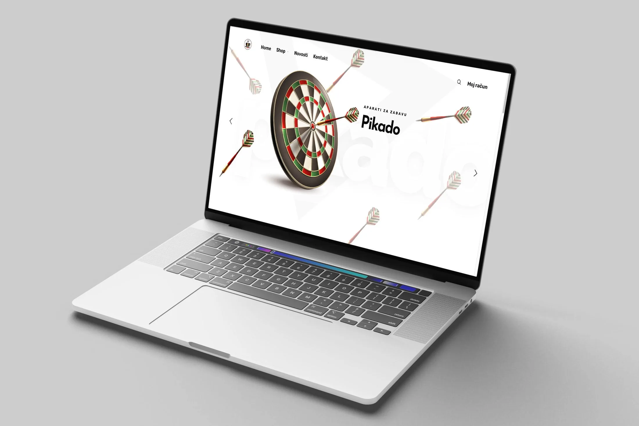 Dizajn i izrada web kataloga B100