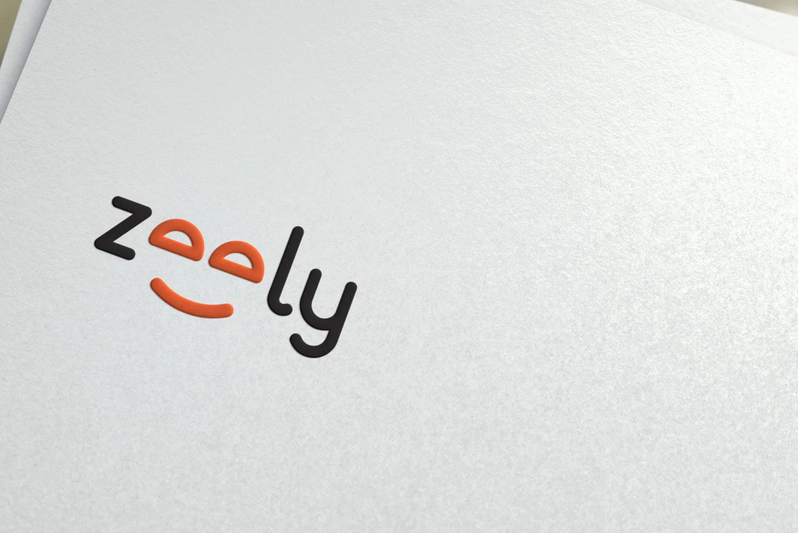 Zooly branding 1